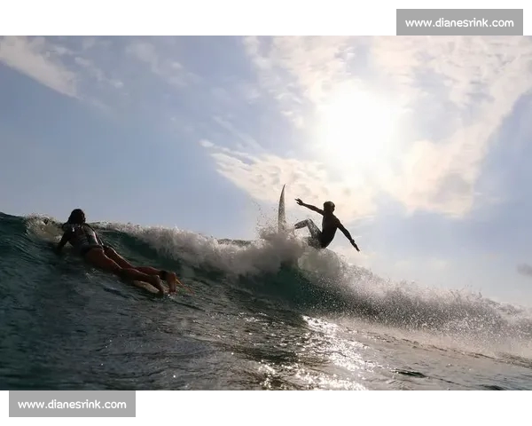 探索运动无限可能,尽在体育品牌官网体验专属运动激情与创新科技 探索运动无限可能,尽在体育品牌官网体验专属运动激情与创新科技